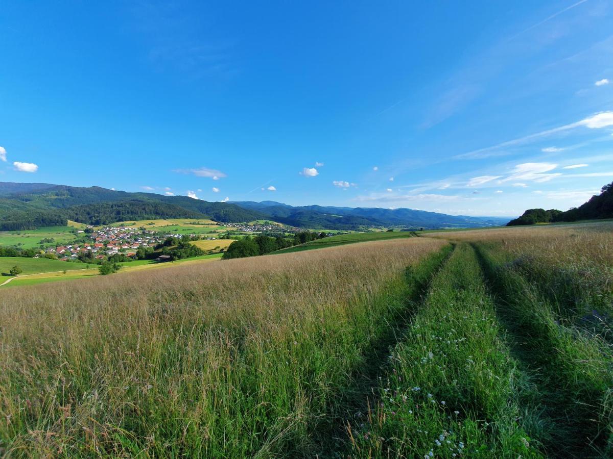 Apartment Schneeburg Ebringen Екстер'єр фото