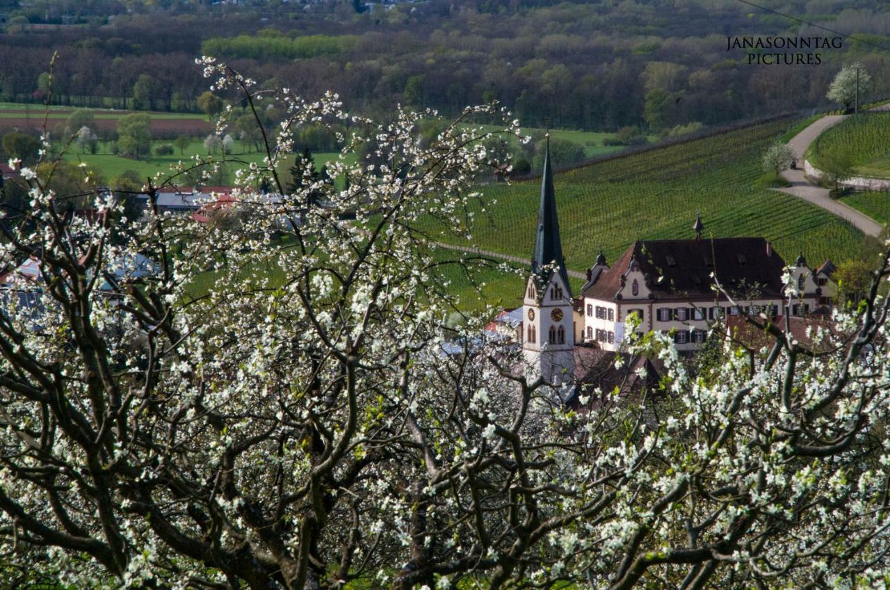 Apartment Schneeburg Ebringen Екстер'єр фото