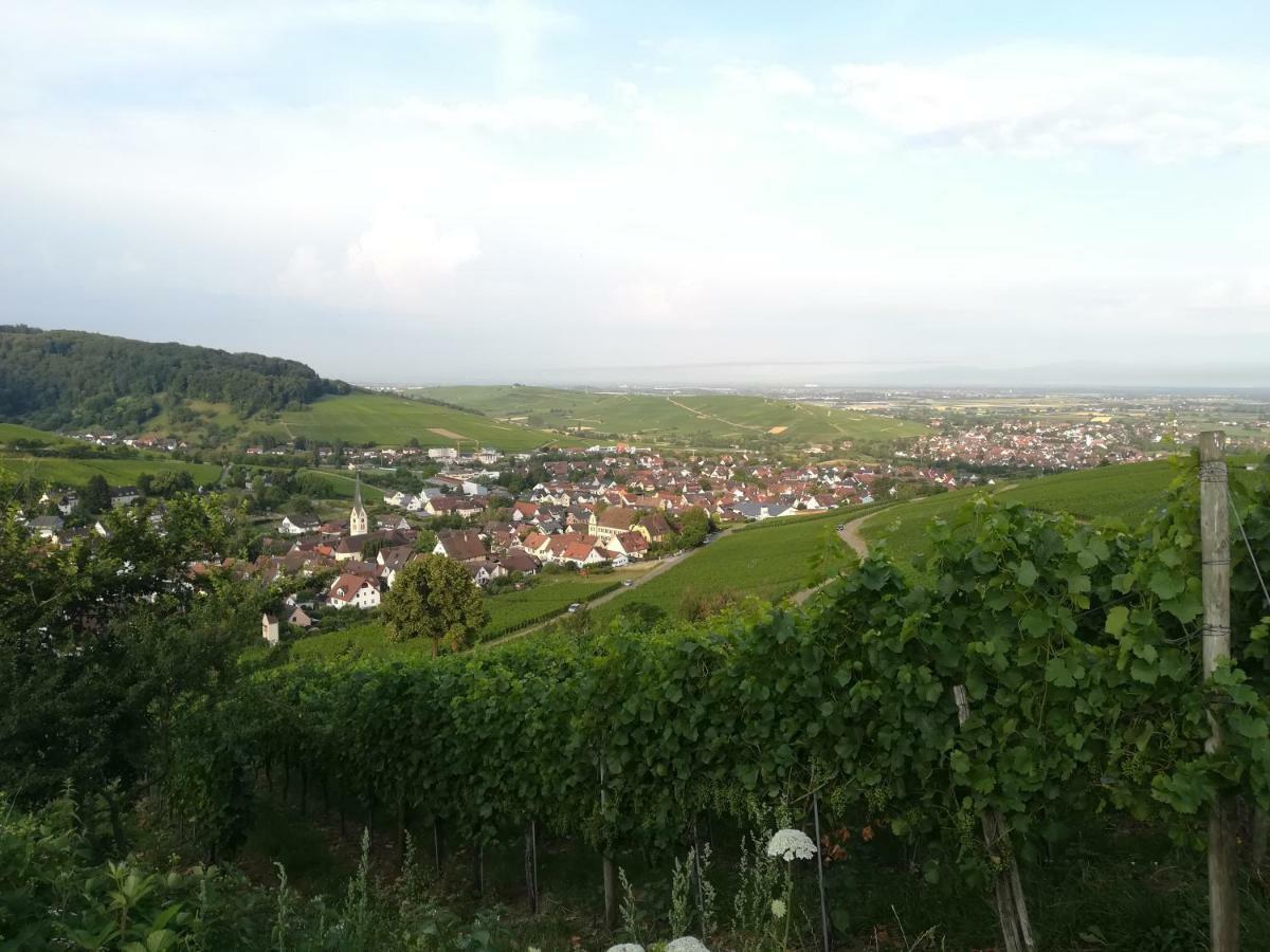 Apartment Schneeburg Ebringen Екстер'єр фото