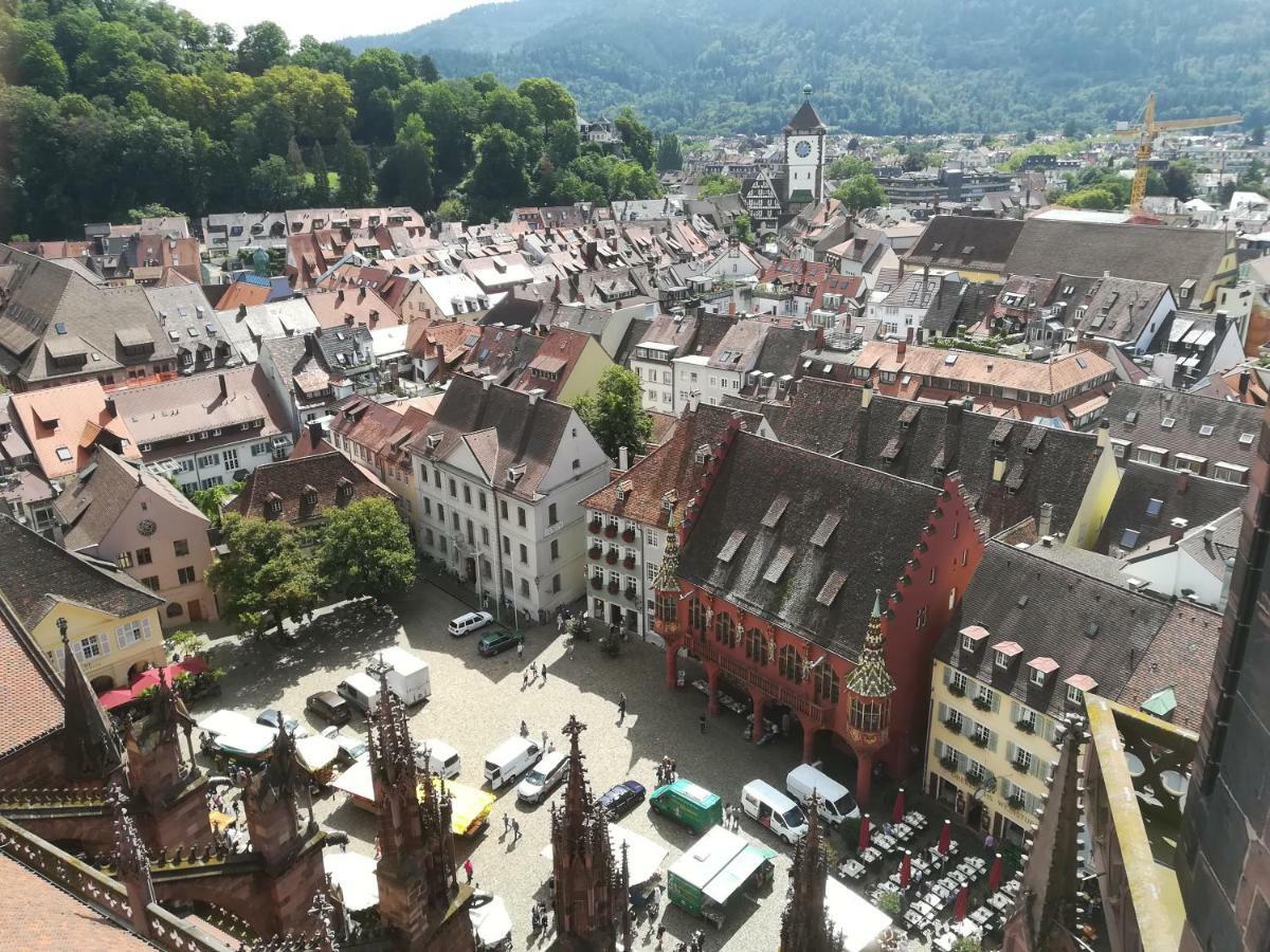 Apartment Schneeburg Ebringen Екстер'єр фото